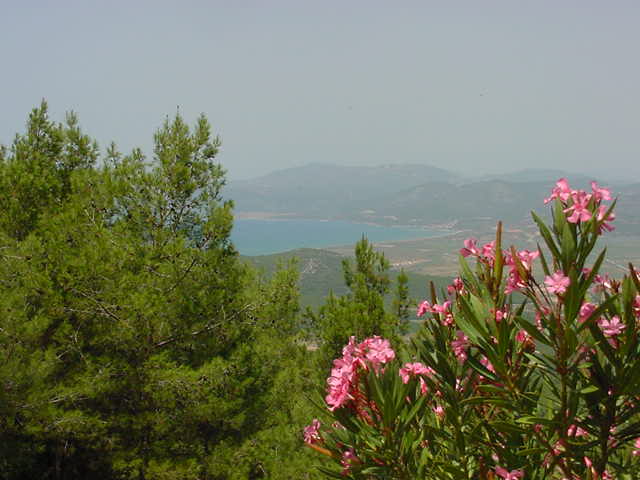 Blick auf Efes